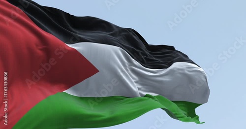 Palestine national flag waving on a clear day