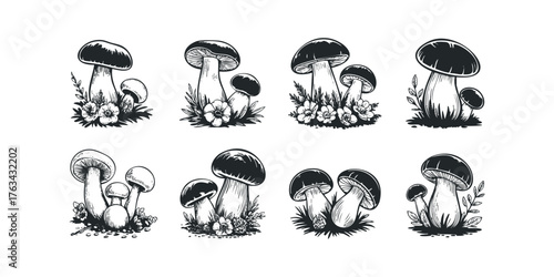 Set of Hand Drawn Mushroom and Flower Arrangements