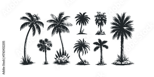 Collection of diverse palm tree silhouettes on white