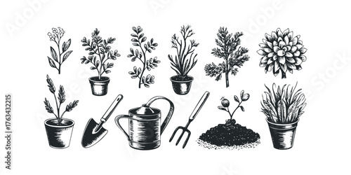 Hand Drawn Botanical Elements and Gardening Tools Collection