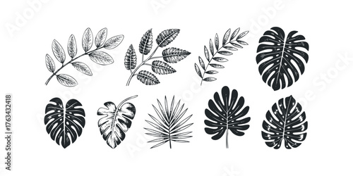 Collection of hand drawn botanical leaves various species