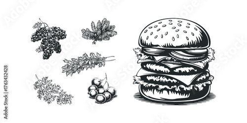 Hand Drawn Burger and Berries Composition