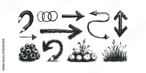 Collection of hand-drawn arrows and organic shapes