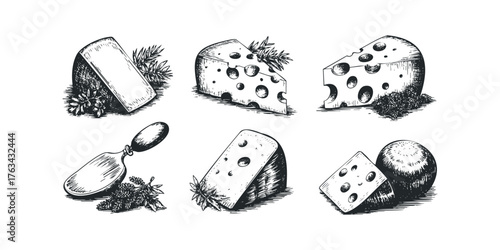 Hand drawn cheese wedges and cheese knife sketch