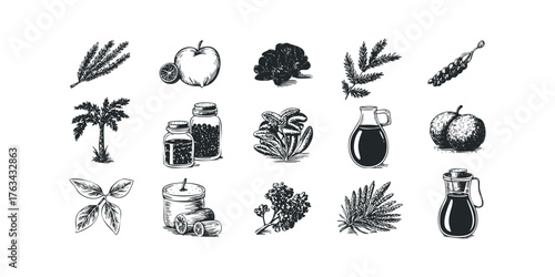 Botanical illustrations collection of fruits, plants, and liquids