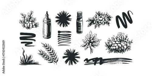 Black and White Hand Drawn Botanical Elements and Brush Strokes