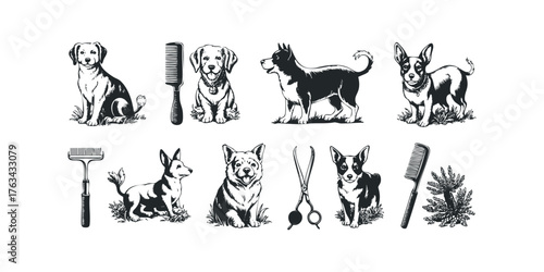 Collection of Dog Breeds and Grooming Tools