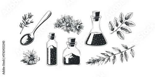 Botanical sketch of herbs in glass bottles and spoon