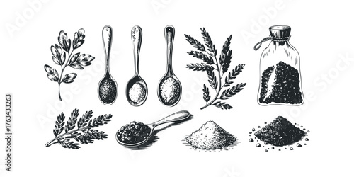 Hand-drawn black and white collection of spice ingredients