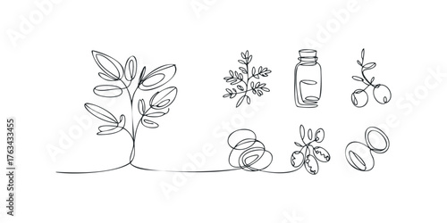 Minimalist Line Art of Botanical Elements and Dropper Bottle