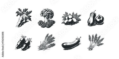 Collection of fresh produce and grains for harvest