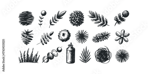 Collection of Hand Drawn Botanical and Abstract Elements