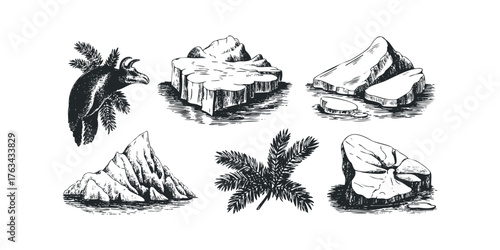 Black Goat With Horns Among Pine Needles