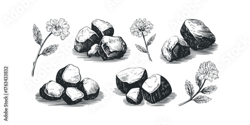 Sketch of Natural Elements Rocks and Flowers