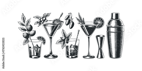 Collection of Alcoholic Beverage Drinks and Bartending Tools
