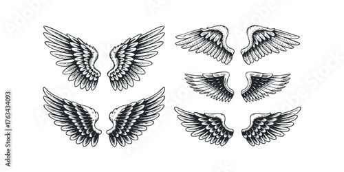 Collection of sketched angel wings