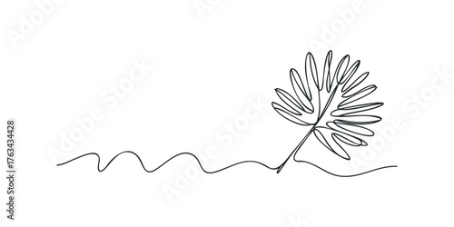Minimalist line art of a palm frond on white background