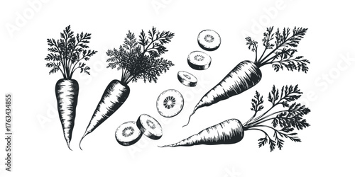Black and White Sketch of Carrots and Slices
