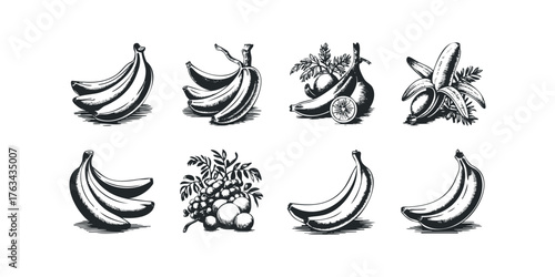 Collection of banana and fruit illustrations in sketch style