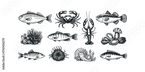 Collection of Black and White Seafood and Marine Life Illustrations