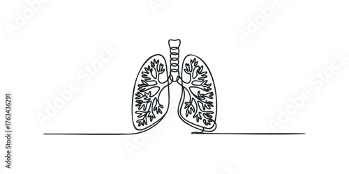 Continuous Line Drawing of Human Lungs and Trachea