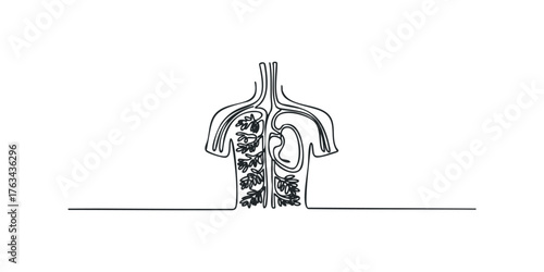 Abstract anatomical outline of human circulatory system and lungs