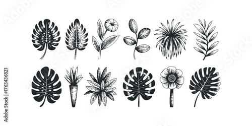 Collection of botanical foliage and flower linocut style graphics