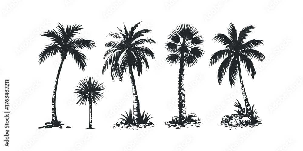 Fototapeta premium Collection of Four Silhouette Palm Trees
