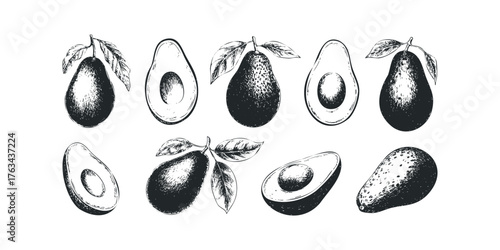 Collection of Hand Drawn Avocados and Slices