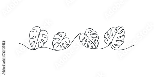 Minimalist Monstera Leaves Line Drawing on White Background