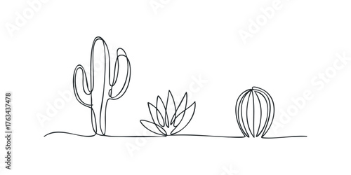 Continuous line drawing of desert plants