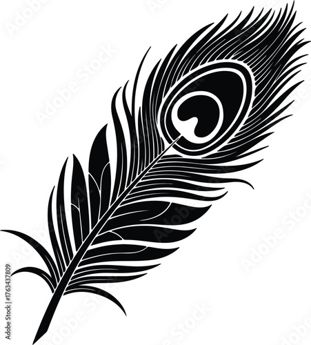 Silhouette black peacock feather isolated on a white background vector illustration
