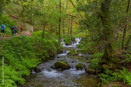 The Camino de Santiago