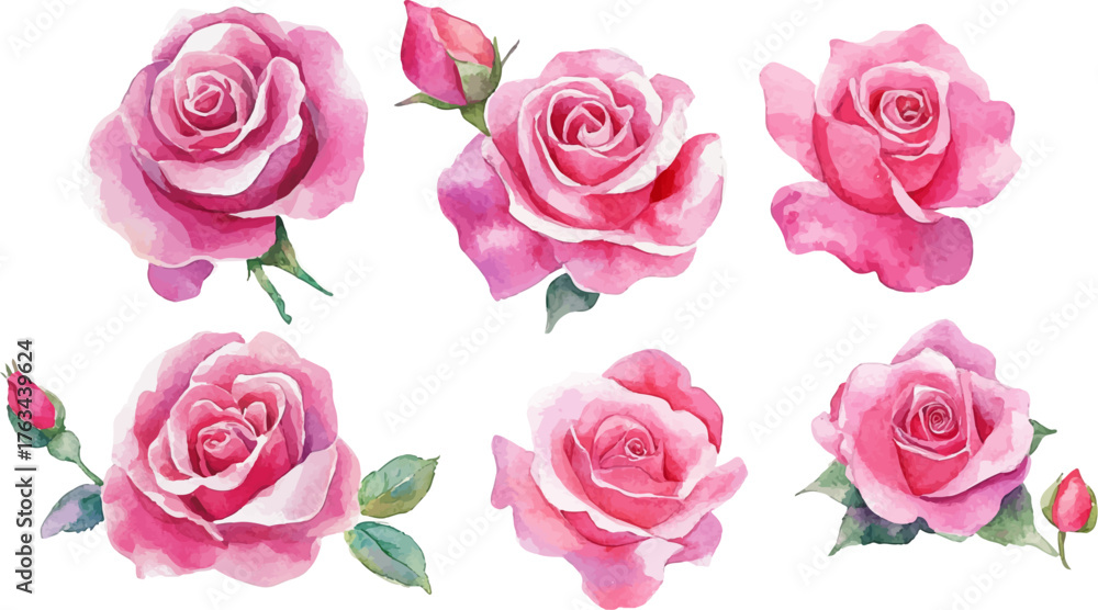 Naklejka premium watercolor set of pink roses flowers