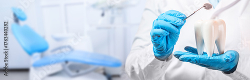 Oral dental hygiene. Healthy white tooth model and dentist mirror instrument in dentist hands and rubber gloves against dentist dental cabinet or office in a clinic with chair. Banner format