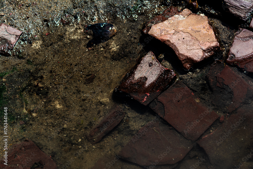 Fototapeta premium Reddish stones on wet sand and puddle of water in the sun