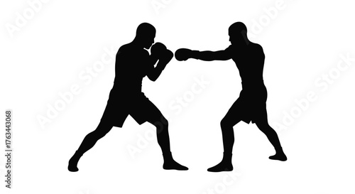 Two silhouetted figures engaged in a boxing match physical confrontation