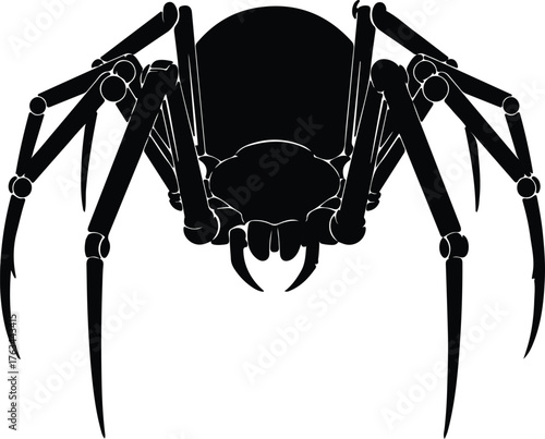 Silhouette of a threatening spider with long legs vector illustration