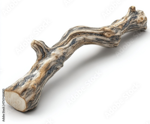 isolated twig branch image