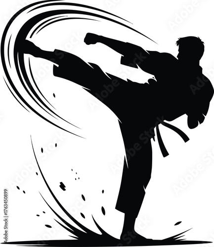 Dynamic silhouette of a martial artist performing a powerful high kick