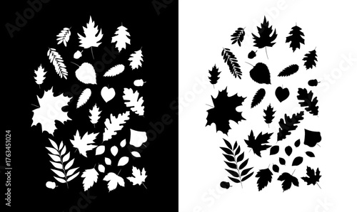 autumn leaves silhouette set vector illustration, silhouette of autumn, leaves vector illustration, autumn leaves vector design, autumn, leave, Leafe, black, white, illustration, vector, design, 