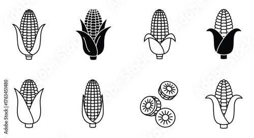 A collection of black and white corn cobs and kernels illustrations