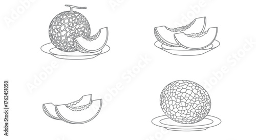 Line art illustration of whole and sliced cantaloupe melons on plates
