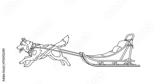 Fun Dog Sled Coloring Sheet for Kids Winter Arctic Transport Activity