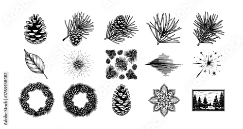 Detailed botanical pine elements with nature motifs in ink style