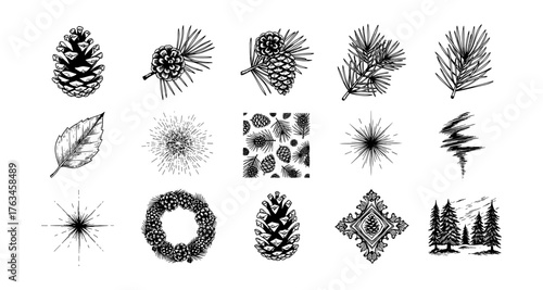 Intricate pine cone patterns and nature elements in hand-drawn style