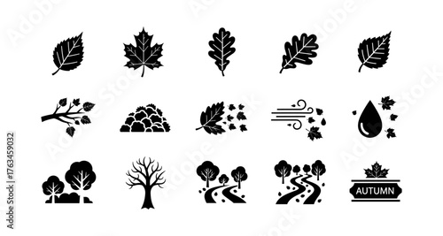 Autumn leaf and tree silhouettes with seasonal elements in black and white