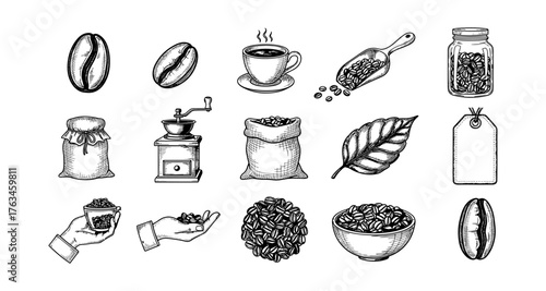 Hand drawn coffee elements collection with vintage coffee beans, grinder, and cups