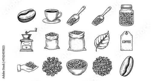Hand drawn coffee elements: beans, cups, and more for café designs