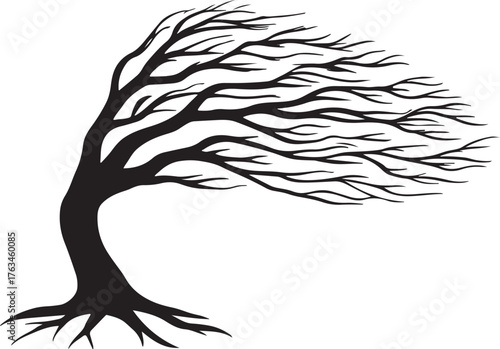 Silhouette of a windblown tree with exposed roots